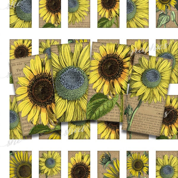 Vintage Sunflowers, 1 X 2 Inch Domino, Printable Digital Download Graphic Images, pendant image, for glass caboshon jewelry