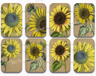 Tournesols vintage, images imprimables Altoids Tin, étiquettes cadeaux imprimables, automne automne, téléchargement numérique, feuille de Collage, découpage de Candy Tin