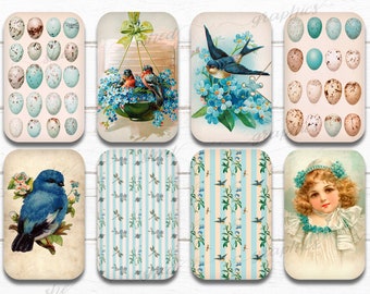 Blue Birds & Forget-Me-Nots, Altoid tin insert, Printable Digital Download Collage Sheet, Candy Tin Decoupage, Gift Tag, altoid tin vintage