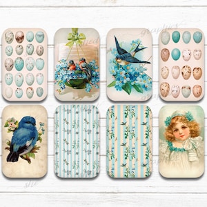Blue Birds & Forget-Me-Nots, Altoid tin insert, Printable Digital Download Collage Sheet, Candy Tin Decoupage, Gift Tag, altoid tin vintage