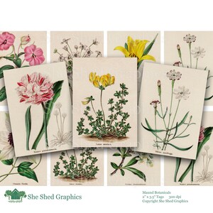 Vintage Garden Flowers, Maund Botanicals, 2.5" x 3.5", ATC size, journal card, Printable Digital Download Collage Sheet Graphic Images