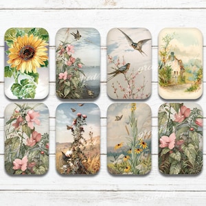 Butterflies, Birds and Blossoms, Altoid tin, Printable Digital Download Collage Sheet, Candy Tin Decoupage, Gift Tag, altoid tin vintage