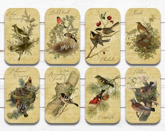 Feathered Friends  Altoid tin, Vintage Birds, Printable Digital Download Collage Sheet, Candy Tin Decoupage, Gift Tag, altoid tin vintage