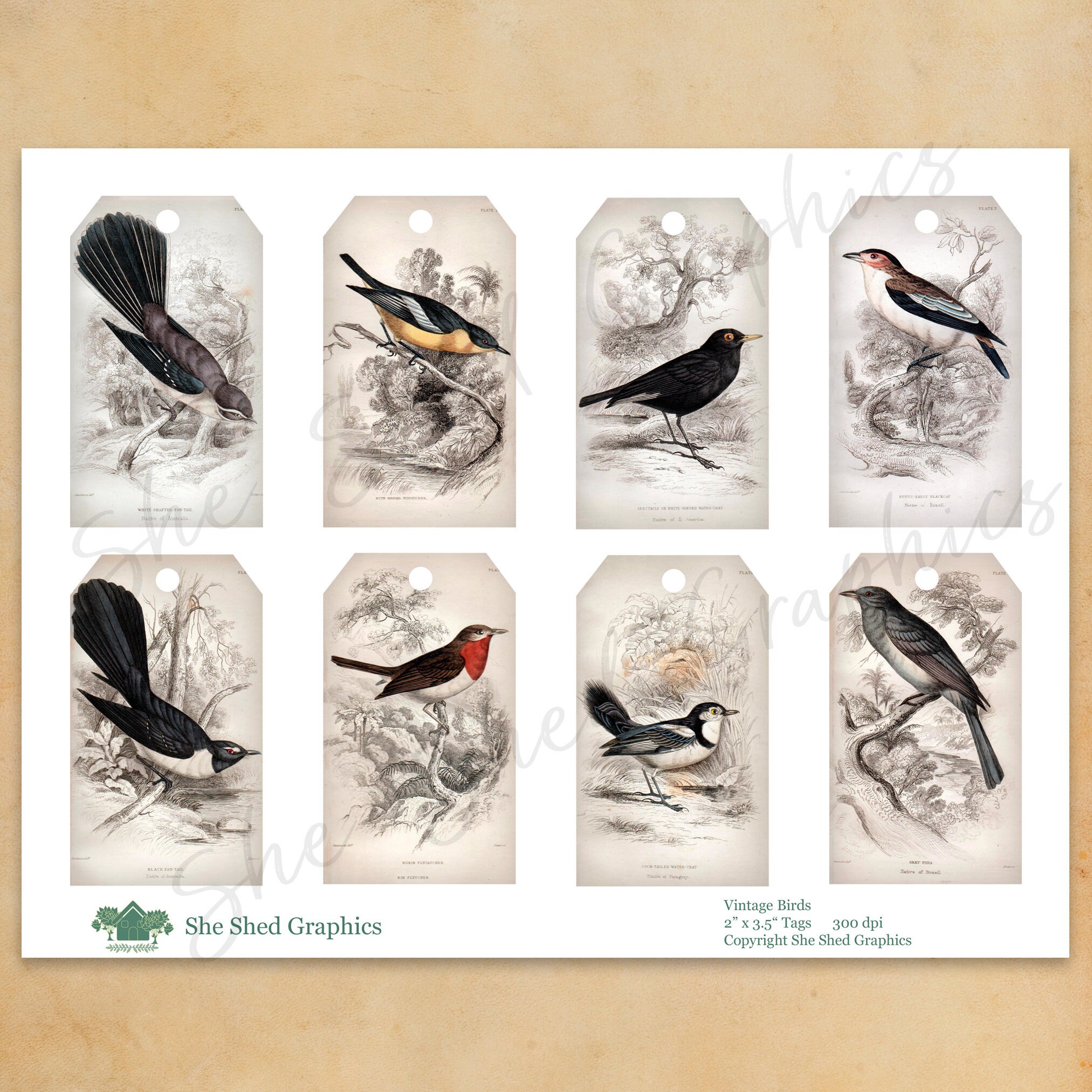 Vintage Birds Printable Gift Tags 2 x 3.5 bird Etsy