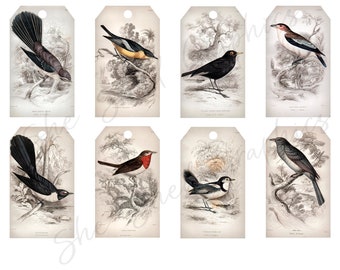 Vintage Birds Printable Gift Tags | 2" x 3.5" | Digital Download Collage Sheet