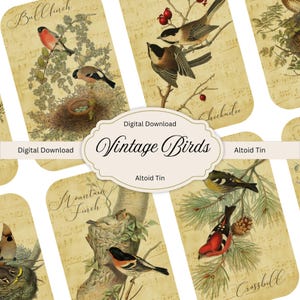Vintage Birds Collage Sheet: Altoid Tin Art, Gift Tags (Digital Download, PDF & JPG