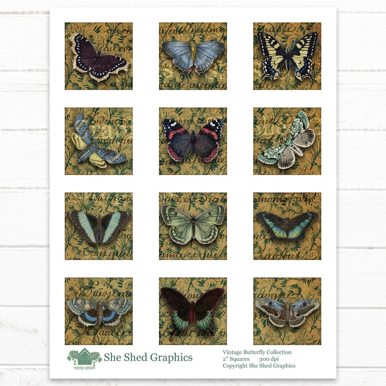 Printable Squares 2 X 2 VINTAGE BUTTERFLY COLLECTION Digital Images