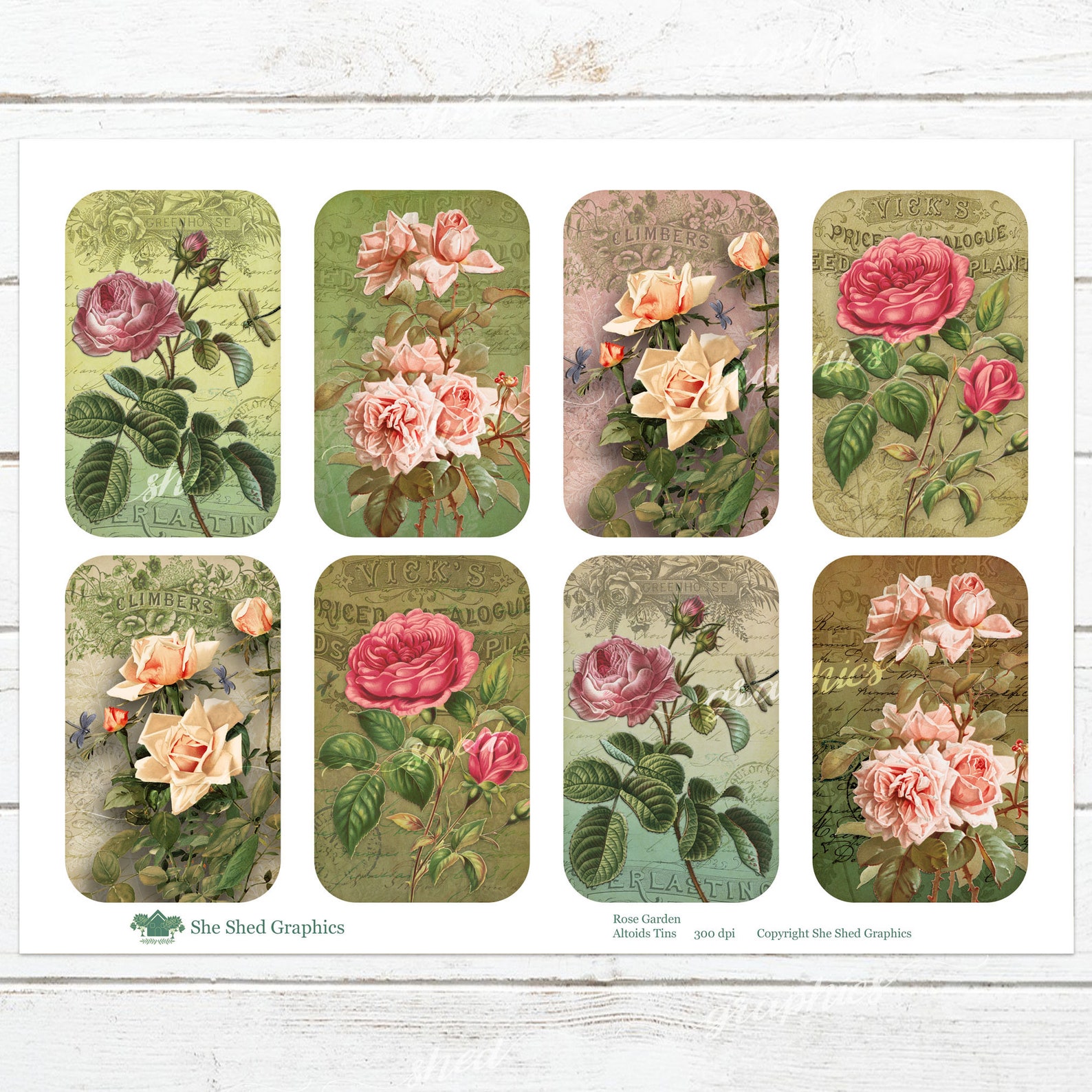 Rose Garden Altoids Tin Printable: Vintage Collage Sheet (digital ...