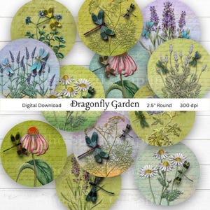 2.5 inch circle, DRAGONFLY GARDEN, Printable Digital Download, cosmetic pocket mirror, paper weight, magnet, car coaster, collage sheet