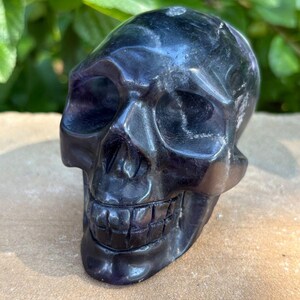 May include: A carved, dark purple skull figurine. The skull has detailed features, including eye sockets, a nose cavity, and a full set of teeth. The skull is set against a background of green leaves and a tan surface.