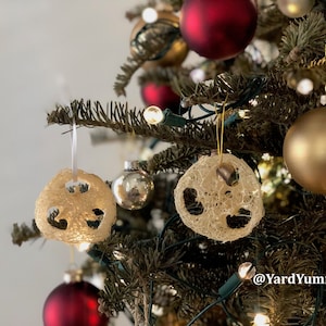 May include: Two natural loofah ornaments hang on a Christmas tree with red, gold, and silver ornaments. The ornaments are tied with white and gold string. The tree is decorated with lights. The text "@YardYummmies" is visible in the bottom right corner of the image.