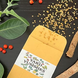A paper seed packet with the logo Yard Yummmies on it, surrounded by ashwagandha root, seeds, berries and cutting with leaves. The seed packet is open. The ashwagandha seeds are scattered on a black surface.The seeds are small and round and a light tan color. To the right of the seed packet is some ashwagandha root pieces which are a light brown in color. There are a few red ashwagandha berries scattered. To the left of the seed packet is a stem cutting of an ashwagandha plant with green leaves.