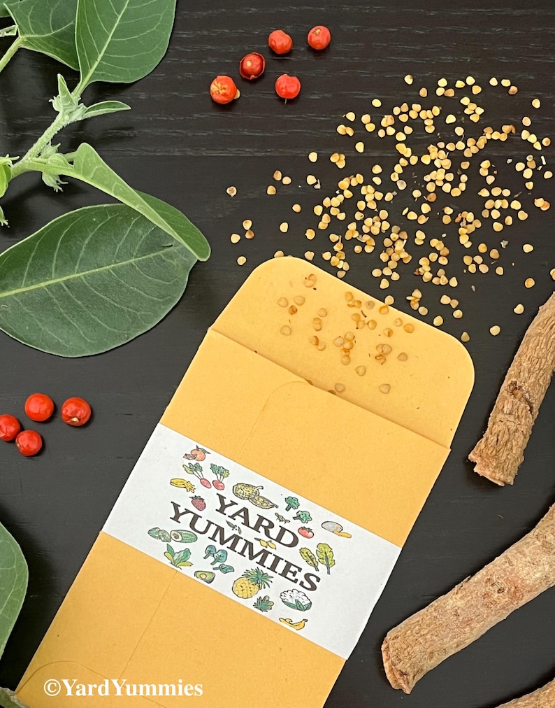 A paper seed packet with the logo Yard Yummmies on it, surrounded by ashwagandha root, seeds, berries and cutting with leaves. The seed packet is open. The ashwagandha seeds are scattered on a black surface.The seeds are small and round and a light tan color. To the right of the seed packet is some ashwagandha root pieces which are a light brown in color. There are a few red ashwagandha berries scattered. To the left of the seed packet is a stem cutting of an ashwagandha plant with green leaves.