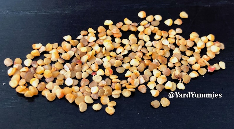 A pile of small, light brown ashwagandha seeds on a black surface. The seeds are oval-shaped and have a slightly rough texture.