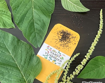 Green Callaloo Amaranth- 100 Heirloom Seeds: Heat Tolerant Spinach Substitute- Vegetable Amaranth