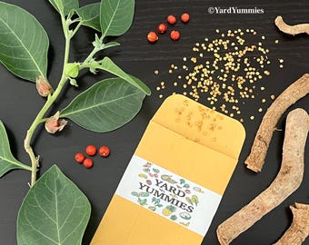 Ashwagandha SEEDS – 50 Seeds- Withania Somnifera – Indian Ginseng- Ayurvedic Herb- Seed- Non GMO