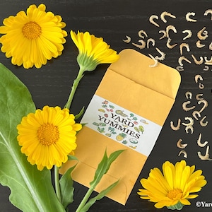 May include: A still-life image featuring bright yellow calendula flowers, green leaves, and a seed packet labeled "Yard Yummies." The packet is open, with seeds scattered nearby. The flowers have a prominent central disc and radiating petals.