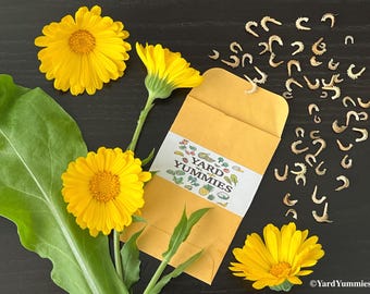 Flor de caléndula amarilla (25 semillas): Calendula officinalis - Caléndula en maceta - Cultivada naturalmente en Florida