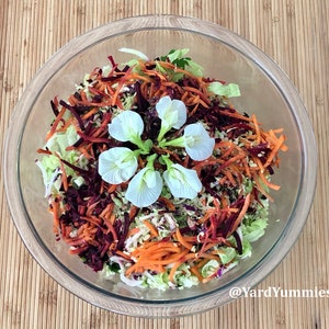 A glass bowl filled with a salad of lettuce topped with shredded carrots and beets and white butterfly pea flowers. The bowl is on a woven bamboo placemat.