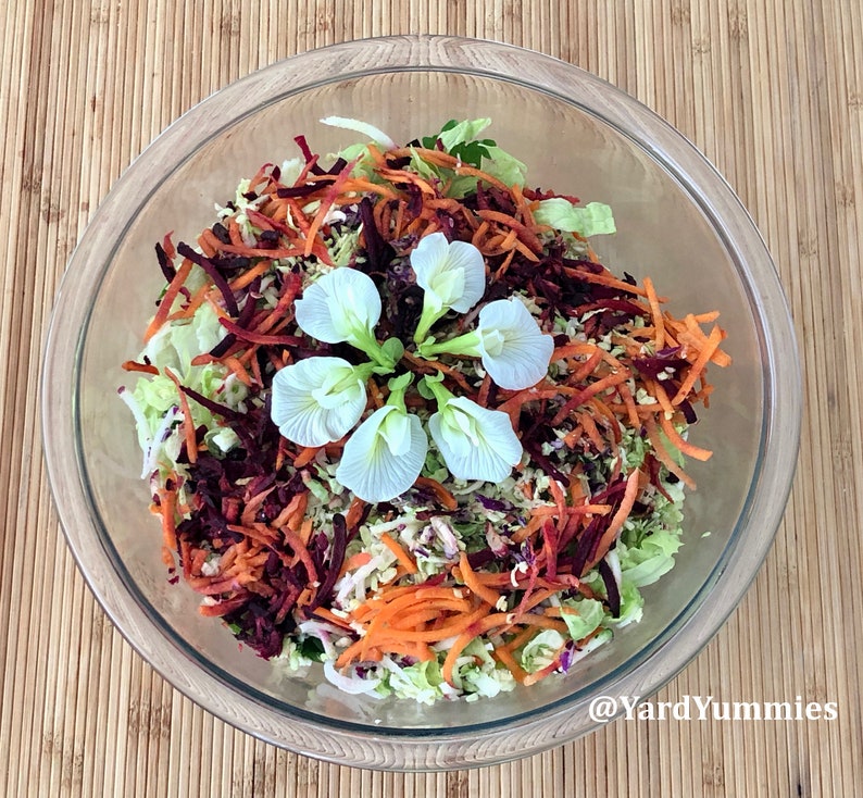 A glass bowl filled with a salad of lettuce topped with shredded carrots and beets and white butterfly pea flowers. The bowl is on a woven bamboo placemat.