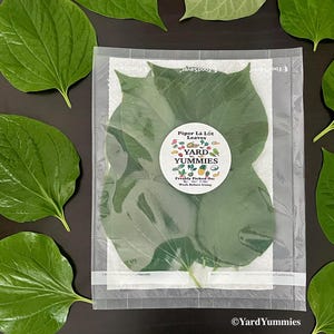 Fresh Lá Lốt Leaves - Piper sarmentosum- Piper Lolot Leaf- Culinary Herb Lalot - Not Piper Betel Leaf – Chaphlu/ Kaduk / Lo lot / lalot