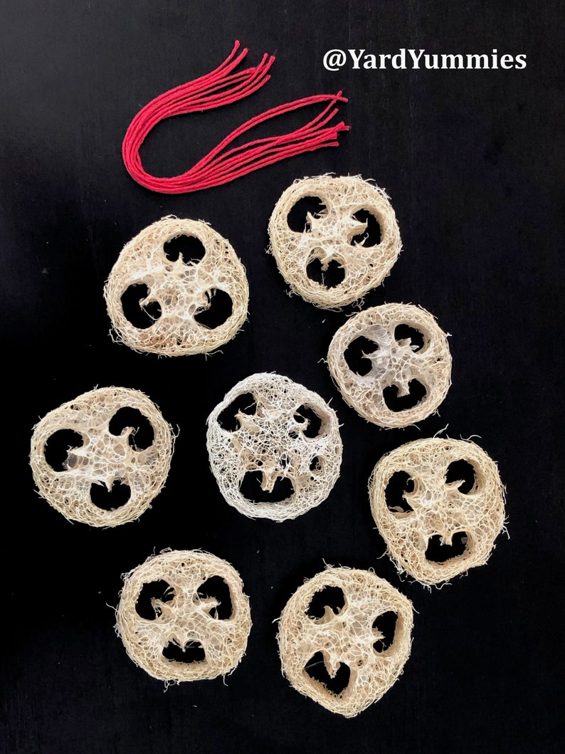 Loofah Slice Ornaments (8pk): Holiday Decor- Natural, Zero Waste ...