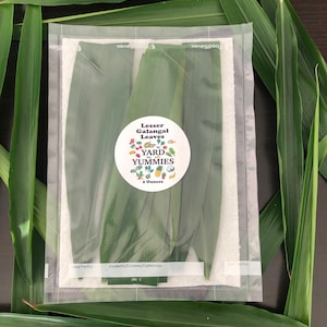 May include: A clear plastic bag containing several green lesser galangal leaves. The bag has a label that reads "Lesser Galangal Leaves" and "Yard Yummmies" with a picture of various fruits and vegetables. The label also states "2 Ounces".