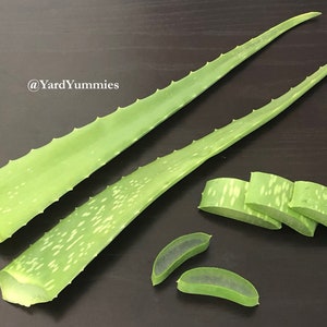 jean & len 100 aloe vera gel 100% Pure Aloe Vera Gel – racosmetics.com main image 1