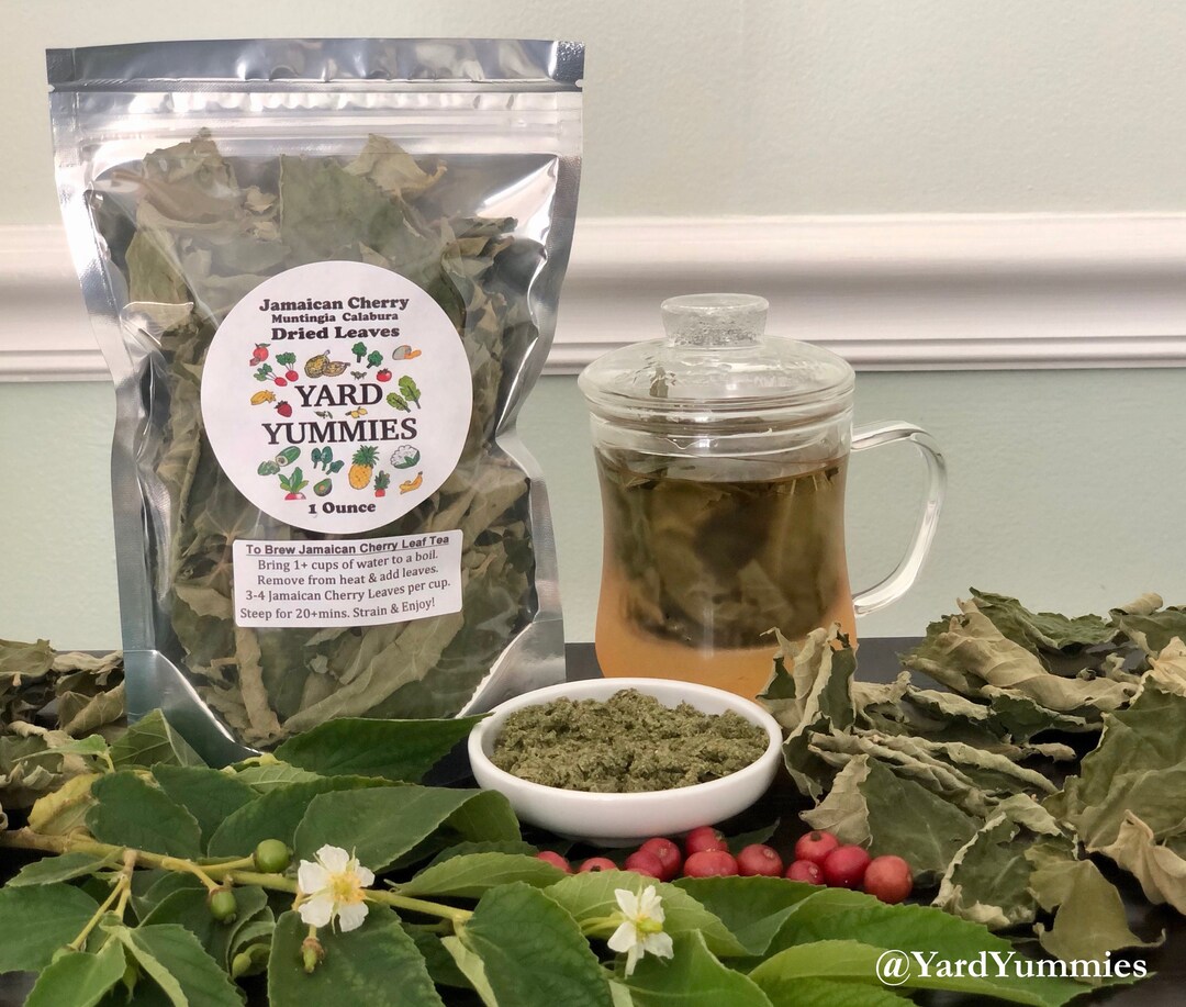 Dried Jamaican Cherry Strawberry Tree LEAVES 1oz Loose Leaf Etsy