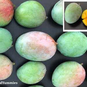 Fresh Mango Fruit from Florida- Keitt Variety- Box of Mangos -Tropical Exotic Fruit- Picked to Order- All Naturally Grown