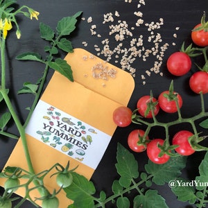 30 Florida Everglades Tomato Seeds: Heirloom Heat Resistant Variety- Naturally Grown