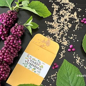 May include: An overhead shot features a yellow seed packet labeled "Yard Yummies" with a variety of seeds, purple berries, green leaves, and scattered sesame seeds on a dark surface. The image is a close-up, showcasing the natural elements.