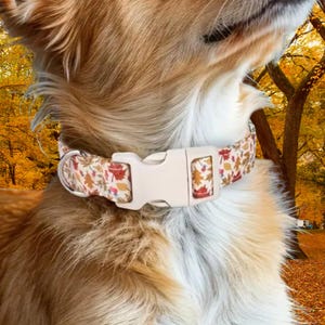 Fall Floral Dog Collar, Autumn Leaves Pattern, White