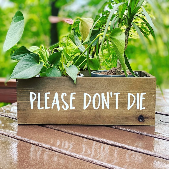 Please Dont Die Plant Box. Funny Planter. Plant Puns. Plant Etsy