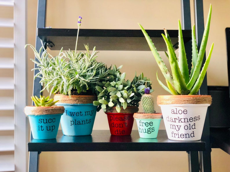 Punny planters. Customizable plant puns. Funny pots. Aloe