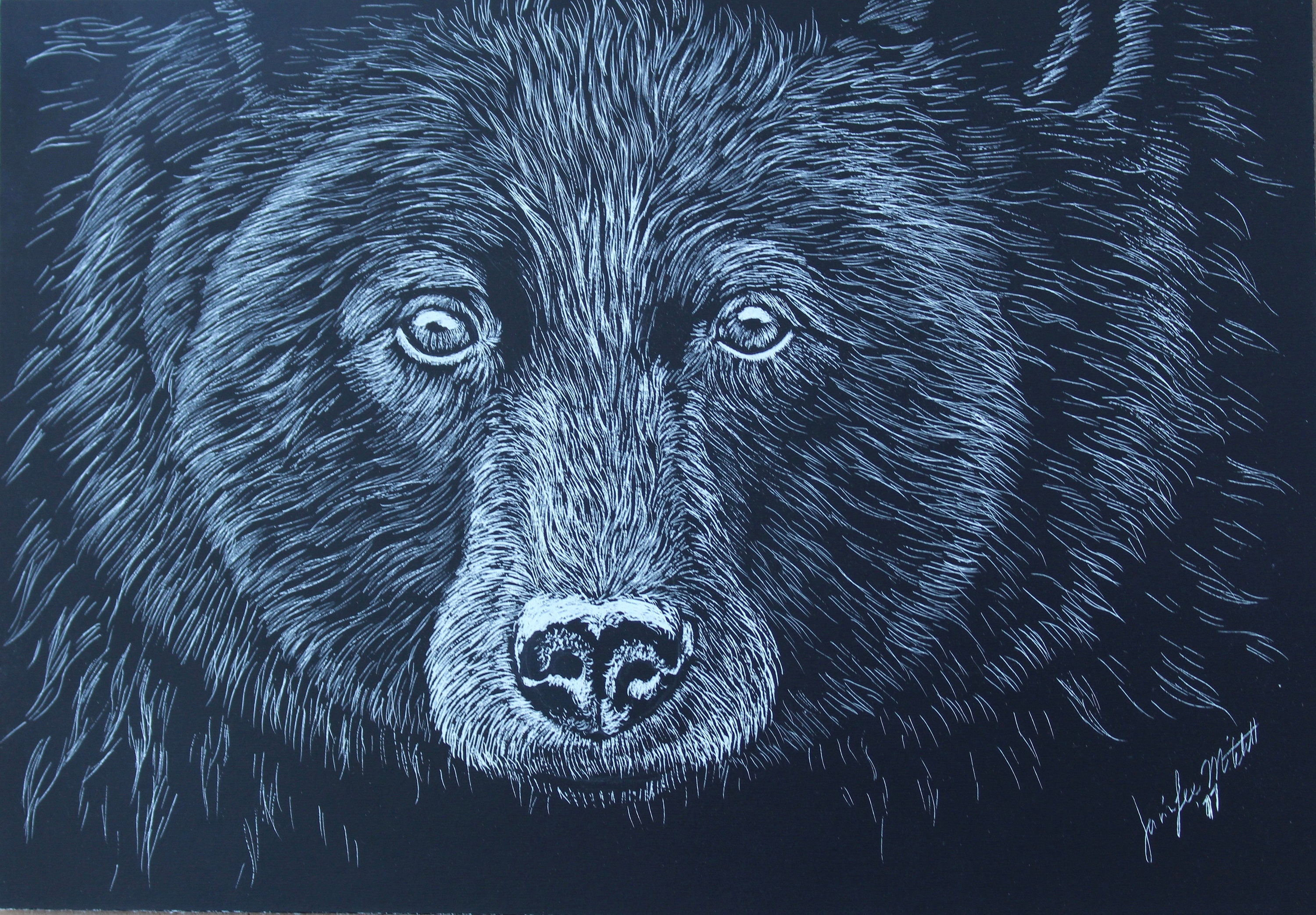 Scratch Art Bear Etsy