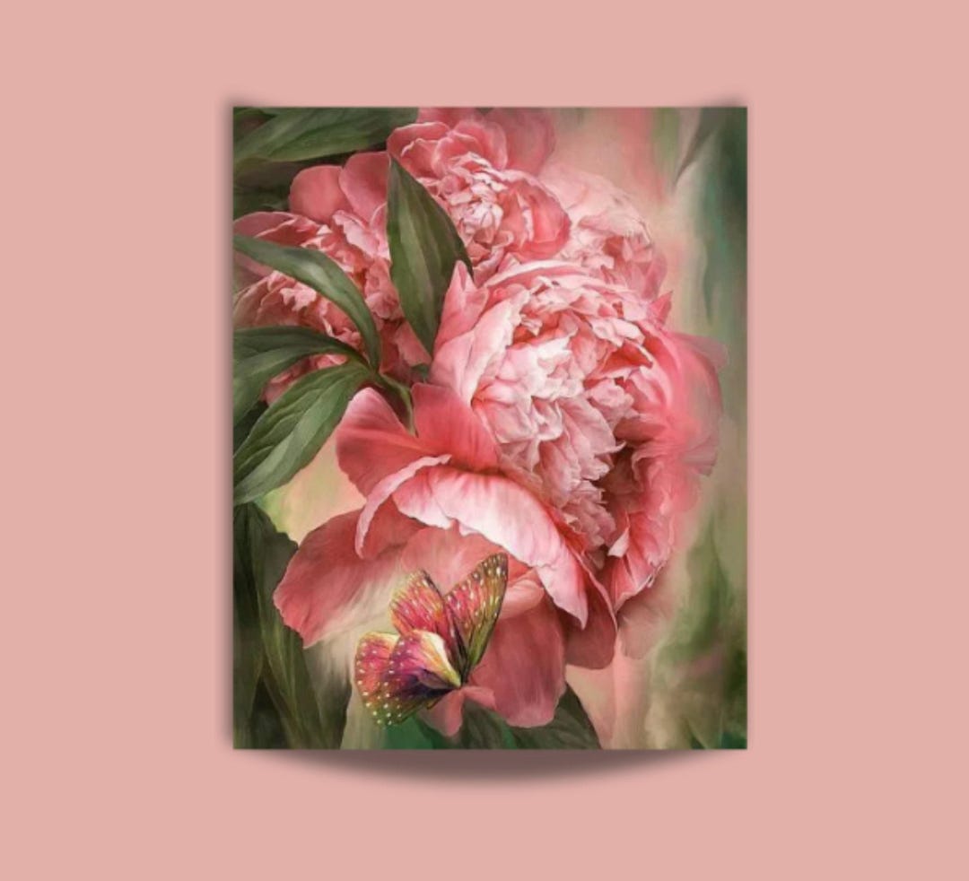 Paint by Number Kit for Adults Pink Peonies and Butterfly Flower ...
