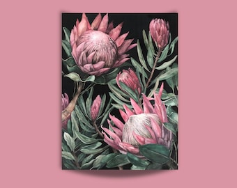 Puede incluir: Una ilustración botánica que presenta varias flores de protea grandes de color rosa con pétalos puntiagudos y superpuestos. Las flores están rodeadas de hojas y tallos alargados de color verde intenso sobre un fondo negro.