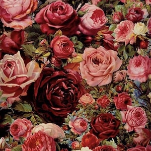 Rozen verf op nummer kit voor volwassenen schilderij roze rode bloem Cottagecore esthetische juni geboortemaand bloem vrouw cadeau voor moeder cadeau oma 12