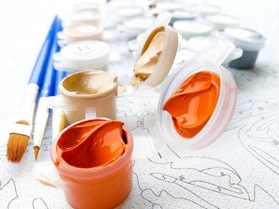 Auaora Kit Pittura Con Numeri Per Adulti - Aurora Boreale Su Tela Con Cornice - Completo Di Colori E Pennelli