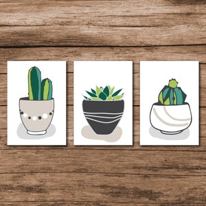 Easy Paint By Numbers for Adults - Painting Kit with 3 Live Succulents