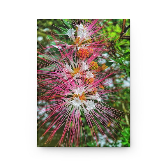 Bobinsana Master Plant Journal - Lined Pages for Ceremony, Dreams +  Integration
