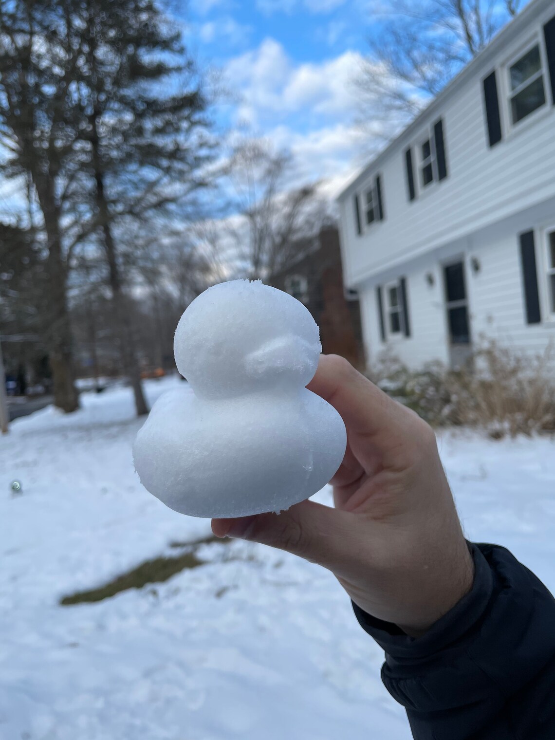 3D Printed Snow Duck Maker Mould / Mold Available in Etsy