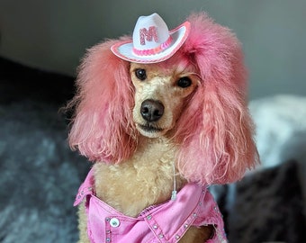 Personalised Pet Cowboy Hat • Dog Hat • Cat Hat • Pet Accessories • Dog Cowboy