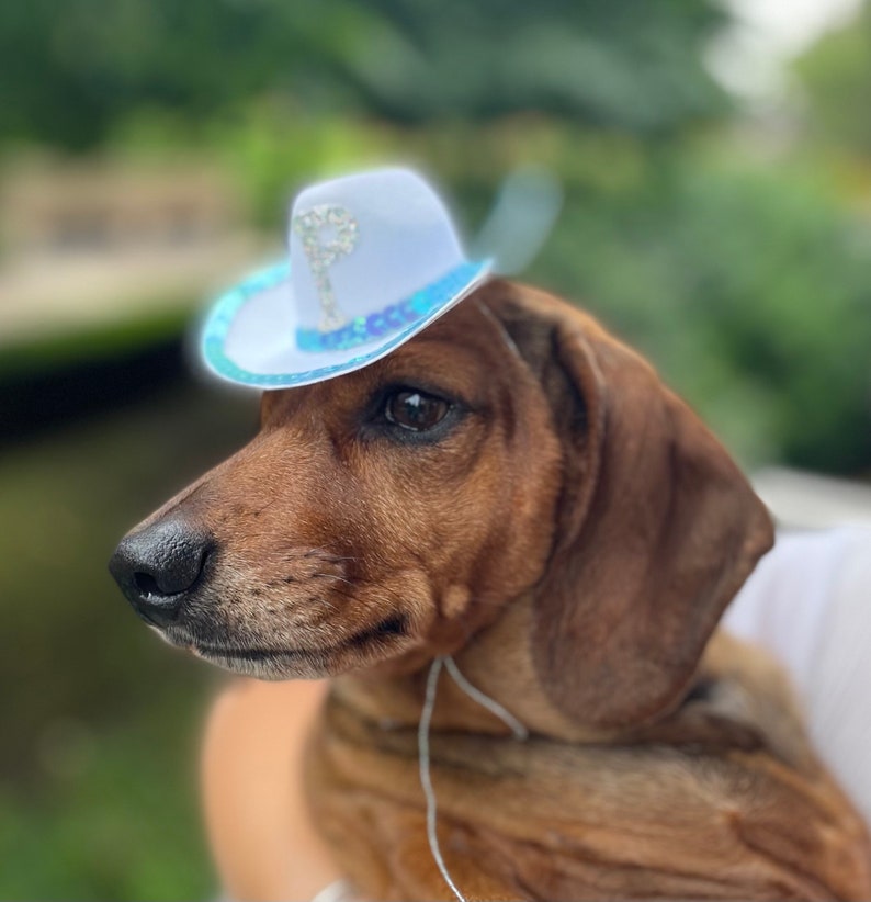 Personalised Pet Cowboy Hat Dog Hat Cat Hat Pet Accessories Dog Cowboy image 2