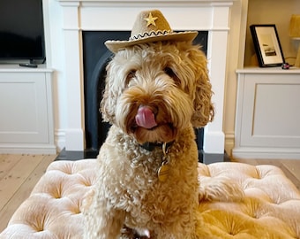 Dog Cowboy Hat • Pet Cowboy Hat • Cowboy Hat for Dogs or Cats • Pet Costumes • Tiny Cowboy Hat