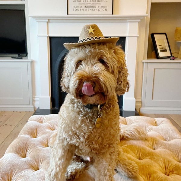 Dog Cowboy Hat • Pet Cowboy Hat • Cowboy Hat for Dogs or Cats • Pet Costumes • Tiny Cowboy Hat