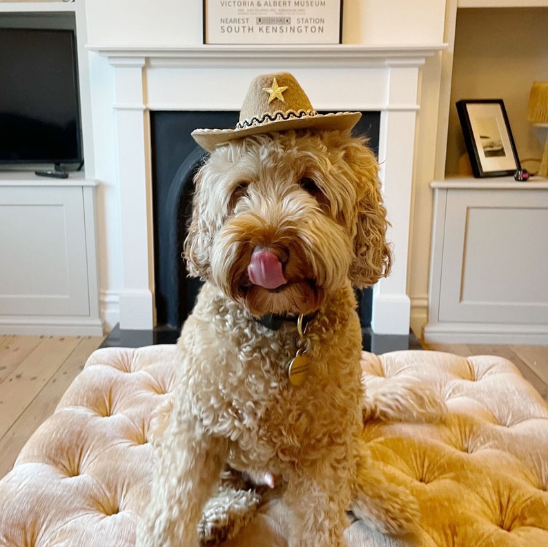 Dog Cowboy Hat Pet Cowboy Hat Cowboy Hat for Dogs or Cats Etsy UK