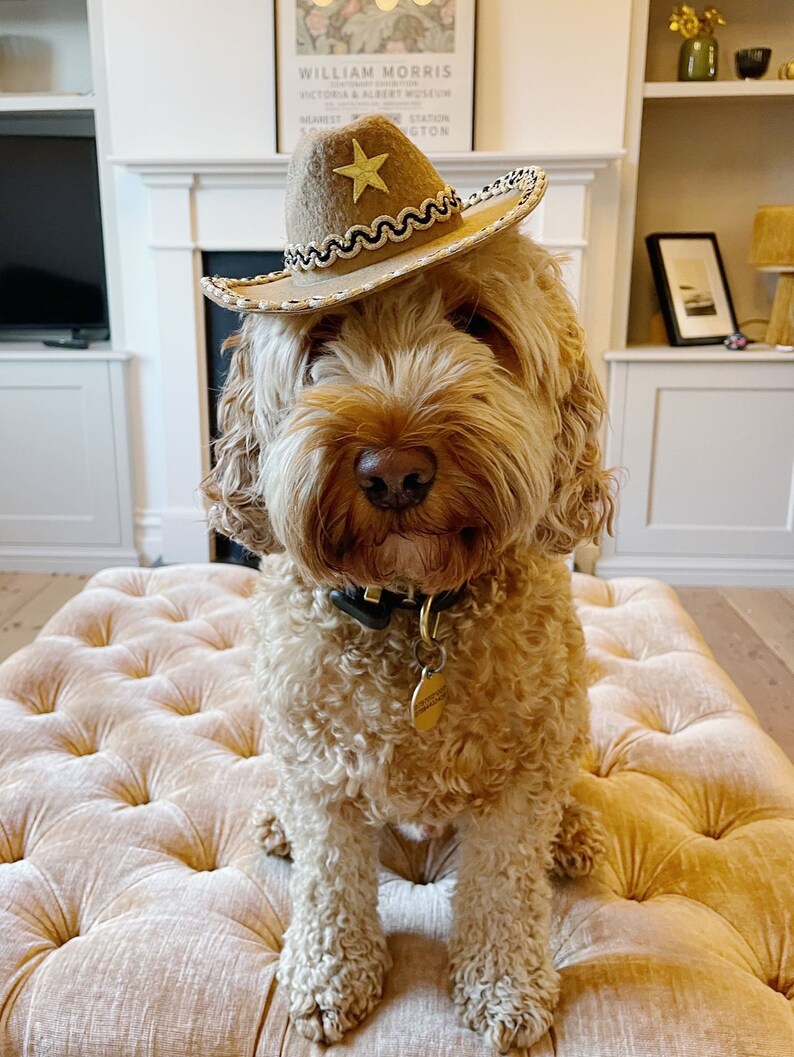 Dog Cowboy Hat Pet Cowboy Hat Cowboy Hat for Dogs or Cats Etsy UK