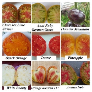 Pode incluir: Uma colagem de nove imagens mostrando seções transversais de diferentes variedades de tomate. As variedades incluem Cherokee Lime Stripes, Aunt Ruby German Green, Thunder Mountain, Ozark Orange, Dester, Pineapple, White Beauty, Orange Russian 117 e Ananas Noir.